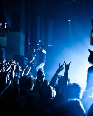 Sins ov Madness Ann Arbor