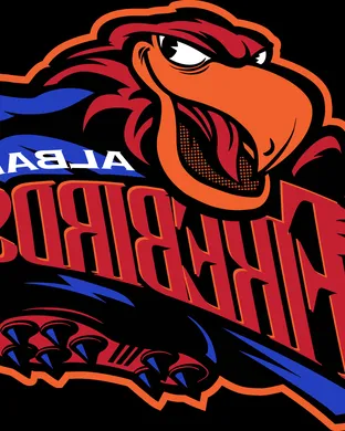 Albany Firebirds Saginaw