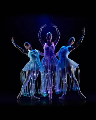 Ballet of Lights Detroit