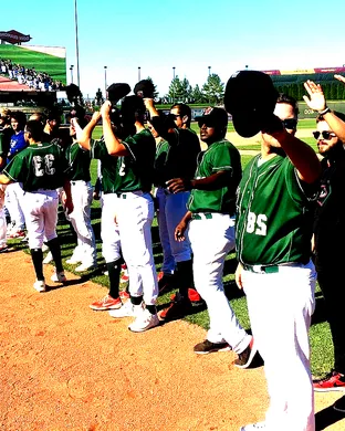 Great Lakes Loons Midland