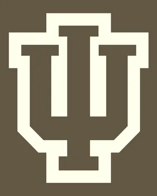 Indiana Hoosiers Ann Arbor