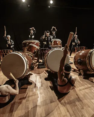 Kodo