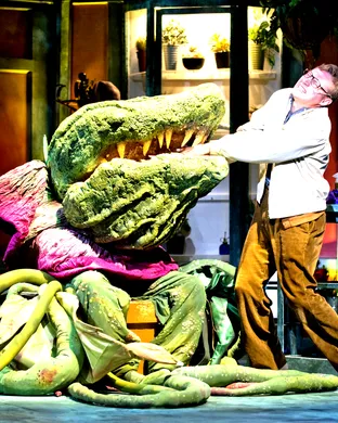 Little Shop Of Horrors Detroit