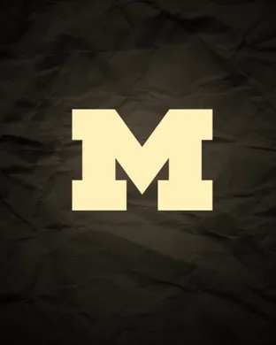 Michigan Stadium Ann Arbor