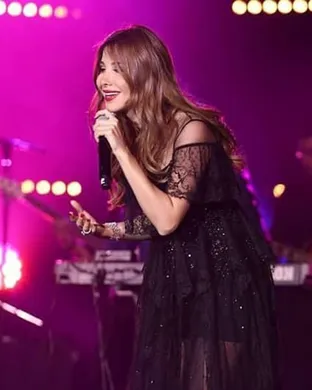 Nancy Ajram Detroit