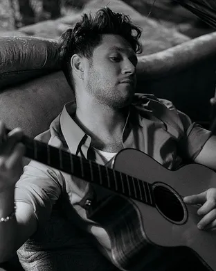 Niall Horan Detroit