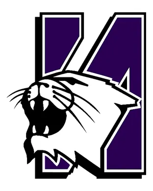 Northwestern Wildcats Football East Lansing