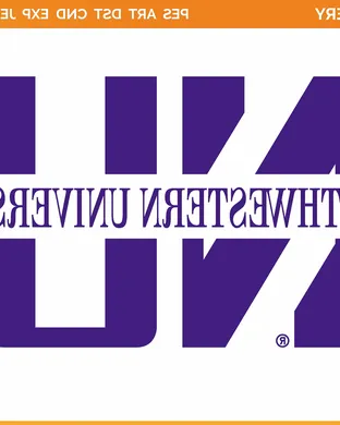 Northwestern Wildcats East Lansing