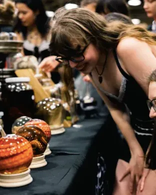 Oddities and Curiosities Expo Novi
