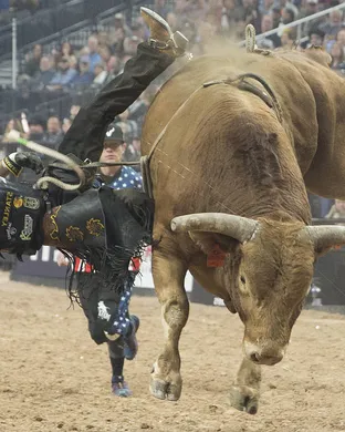 Professional Championship Bull Riders