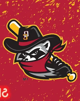 Quad Cities River Bandits East Lansing
