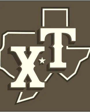 Texas Rangers Detroit
