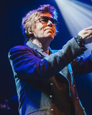 The Psychedelic Furs Royal Oak