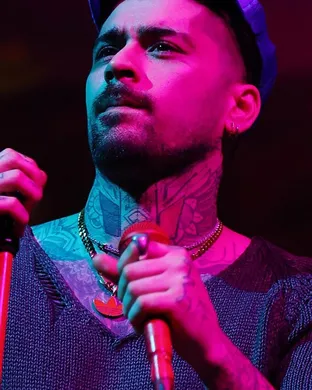 Zayn Detroit