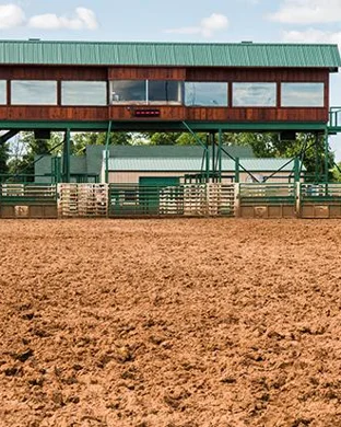 Super Kicker Rodeo