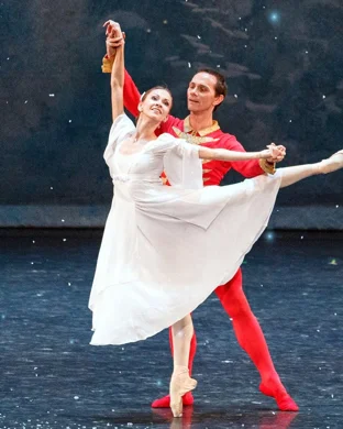 Ballet of Lights Detroit